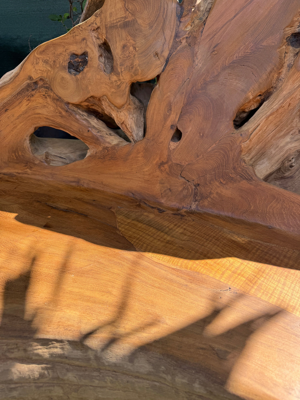 The Broward Design Center - Teak Root Sofa XXL