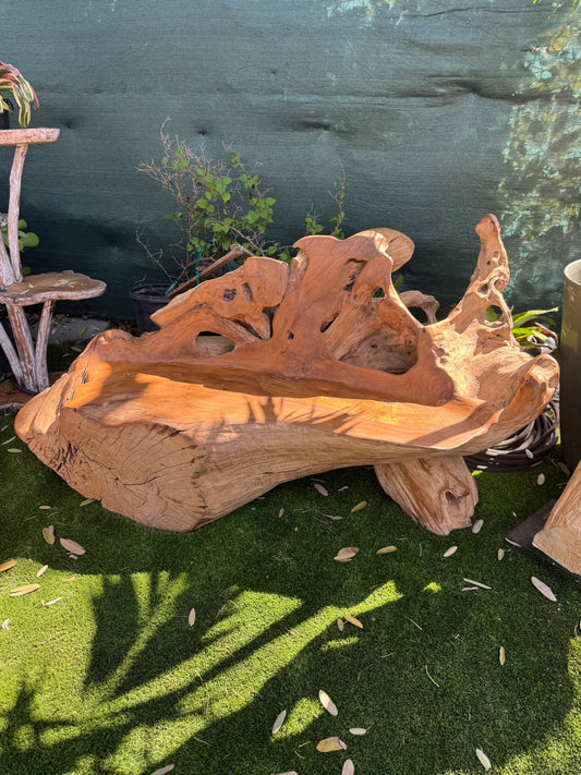The Broward Design Center - Teak Root Sofa XXL